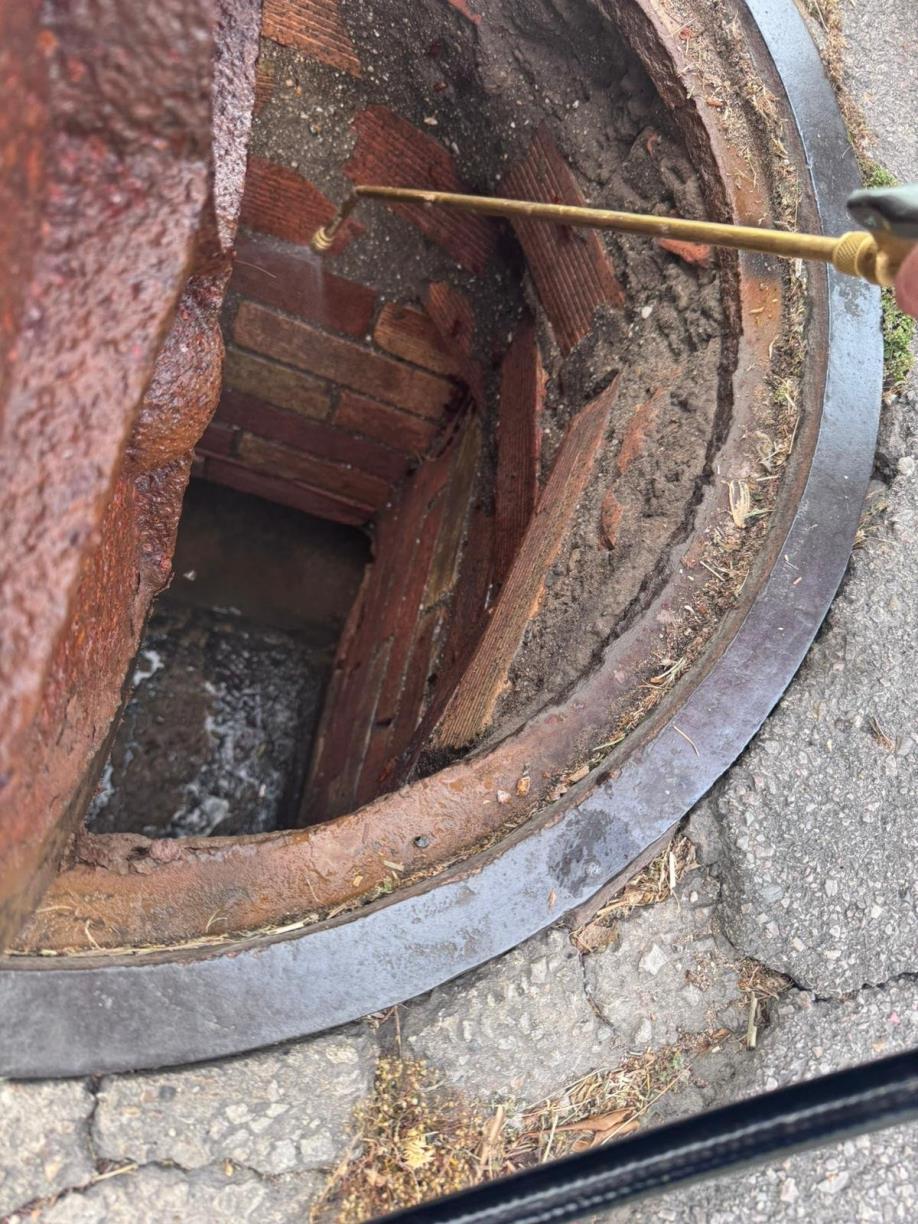 Sant Pere de Ribes intensifica les actuacions de control i prevenció de paneroles. Ajt Sant Pere de Ribes