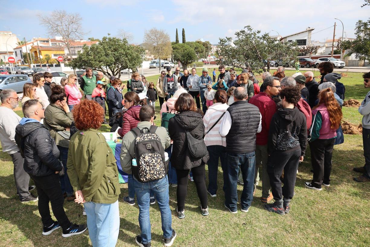 Sant Pere de Ribes reforça el verd urbà amb gairebé 500 arbres plantats en una jornada popular. Ajt Sant Pere de Ribes