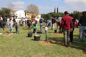 Sant Pere de Ribes reforça el verd urbà amb gairebé 500 arbres plantats en una jornada popular