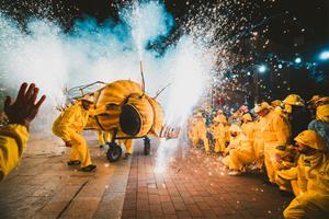 Sant Sadurní d’Anoia supera la pluja i torna a combatre la plaga de la fil·loxera