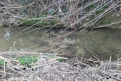 Santa Margarida i els Monjos denuncia un abocament il·legal d’amiant al riu Foix i obre una investigació. EIX