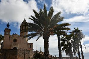 Sitges inicia una campanya contra el morrut roig per protegir les palmeres. Ajuntament de Sitges