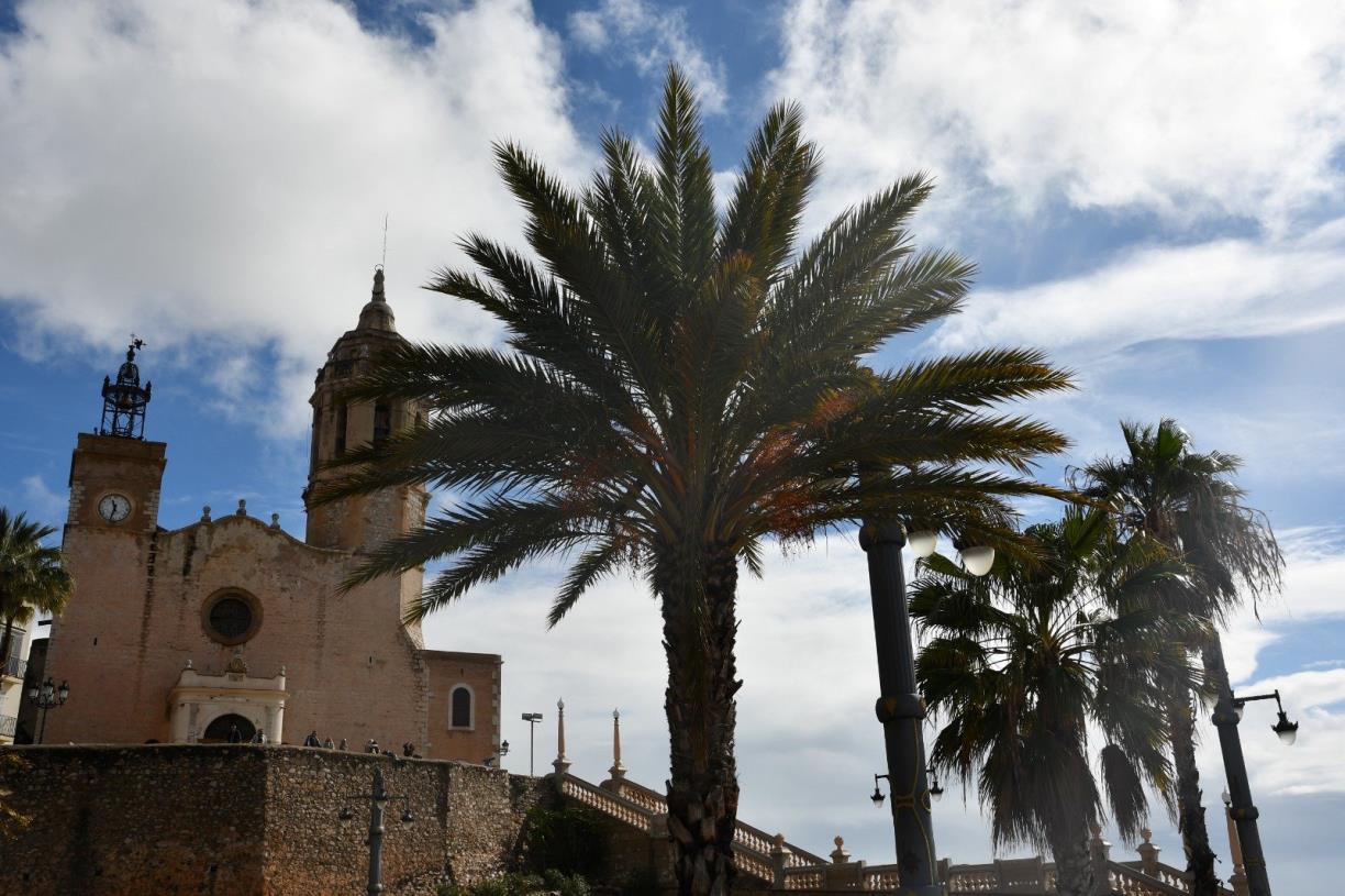 Sitges inicia una campanya contra el morrut roig per protegir les palmeres. Ajuntament de Sitges