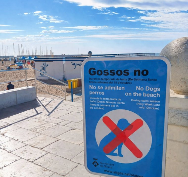 Sitges regula l’accés de gossos a les platges fins al 18 d’octubre amb Vallcarca com a espai habilitat. Ajuntament de Sitges