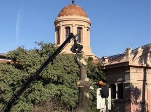 Tala d'un arbre al jardí del Museu Víctor Balaguer. Eix