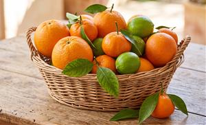 Taronges, mandarines i llimes. Eix