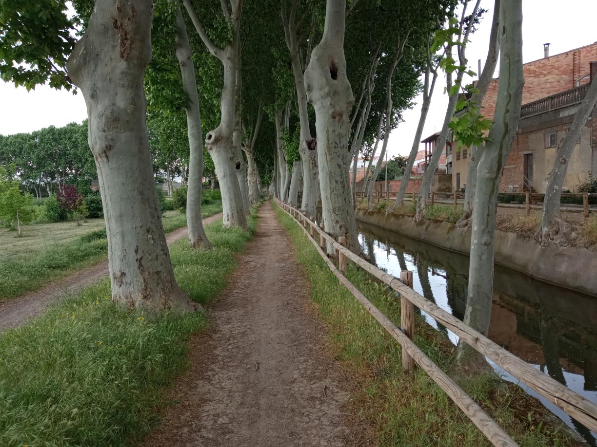 Tram de la Banqueta del canal d'Urgell, al seu pas pel poble. Eix