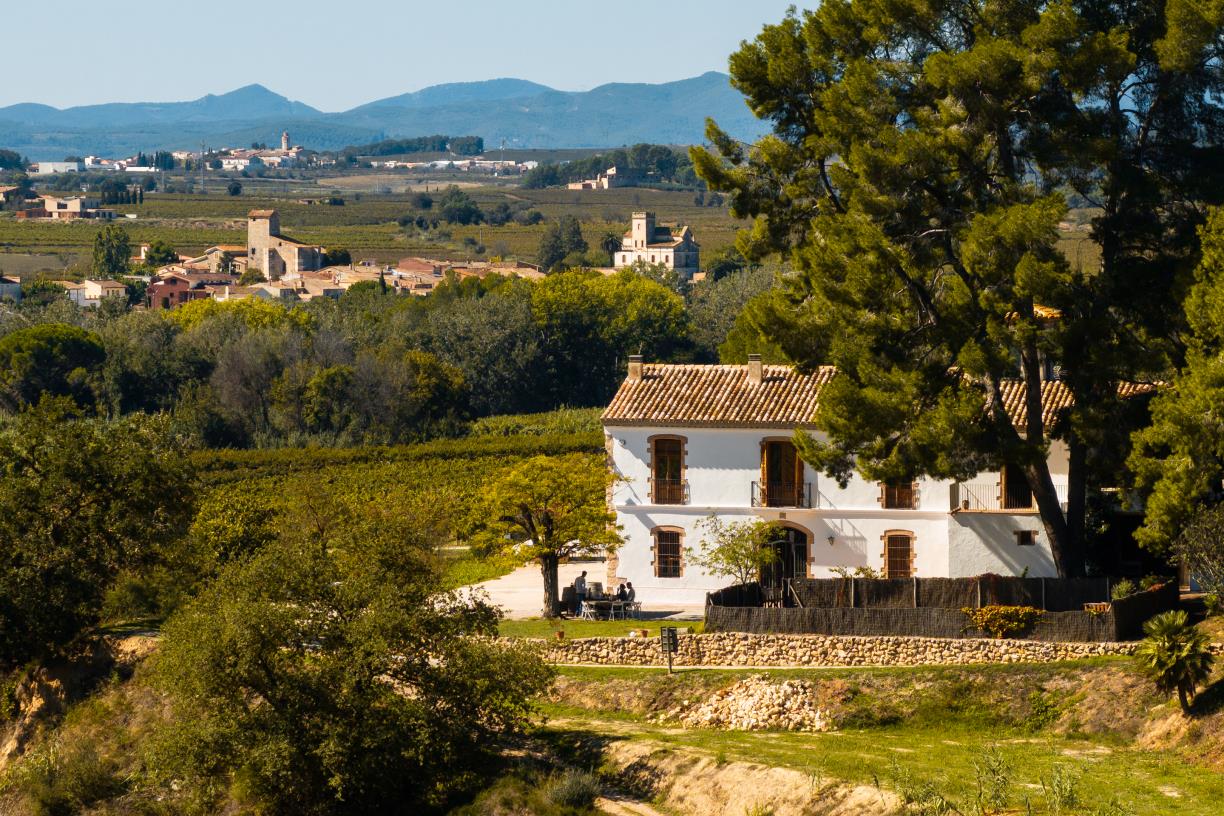 Tres establiments de la Ruta del Vi del Penedès guanyen els Premis d’Enoturisme de Rutas del Vino de España. EIX