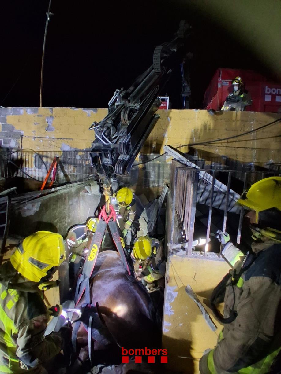 Un cavall mor en ensorrar-se el sostre d’un estable d’una hípica de Vilanova. Bombers