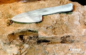 Un estudi fet a l'Abric Romaní de Capellades constata que els neandertals feien un ús recurrent i divers de la fusta. ACN