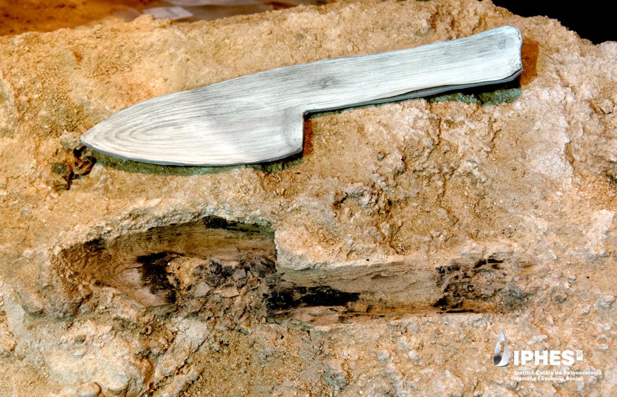 Un estudi fet a l'Abric Romaní de Capellades constata que els neandertals feien un ús recurrent i divers de la fusta. ACN