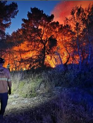 Un incendi crema 3.500 metres quadrats de bosc a la Serreta, el sisè foc registrat enguany. Ajuntament d'Olèrdola