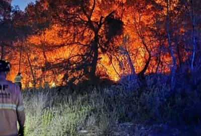 Un incendi crema 3.500 metres quadrats de bosc a la Serreta, el sisè foc registrat enguany. Ajuntament d'Olèrdola