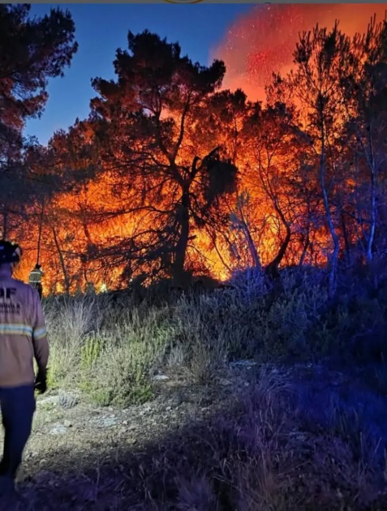 Un incendi crema 3.500 metres quadrats de bosc a la Serreta, el sisè foc registrat enguany. Ajuntament d'Olèrdola