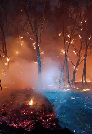 Un incendi crema 3.500 metres quadrats de bosc a la Serreta, el sisè foc registrat enguany