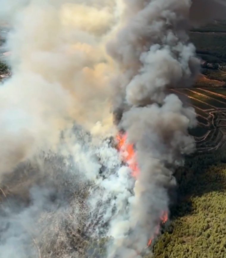 Un incendi d'alta intensitat crema vegetació forestal al Pla de Manlleu, entre Aiguamúrcia i Sant Jaume dels Domenys. EIX