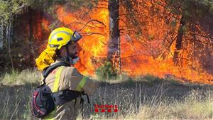 Un incendi d'alta intensitat crema vegetació forestal al Pla de Manlleu, entre Aiguamúrcia i Sant Jaume dels Domenys. Bombers