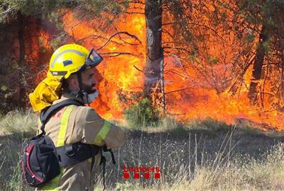 Un incendi d'alta intensitat crema vegetació forestal al Pla de Manlleu, entre Aiguamúrcia i Sant Jaume dels Domenys. Bombers