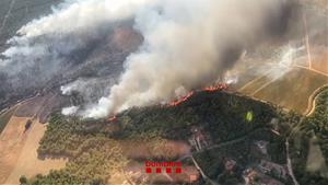 Un incendi d'alta intensitat crema vegetació forestal al Pla de Manlleu, entre Aiguamúrcia i Sant Jaume dels Domenys