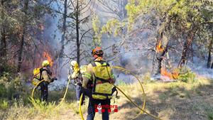 Un incendi d'alta intensitat crema vegetació forestal al Pla de Manlleu, entre Aiguamúrcia i Sant Jaume dels Domenys