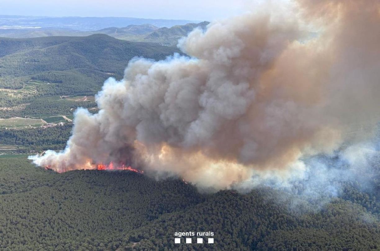 Un nou incendi forestal a Aiguamúrcia crema unes 45 hectàrees i mobilitza un ampli dispositiu d'emergència. ACN