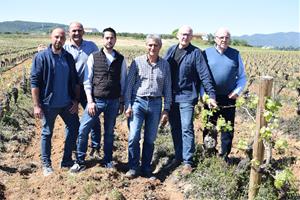 Una coalició de pagesos i elaboradors presenta candidatura a les eleccions de la DOP Cava del 7 de maig. Unió de Pagesos