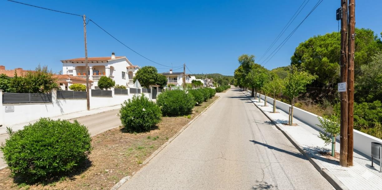 Urbanització El Papagai. Eix