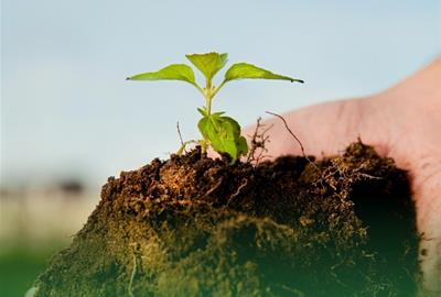 Vilafranca ofereix reduccions a la taxa d’escombraries per l’ús de la deixalleria i l’autocompostatge casolà. Ajuntament de Vilafranca