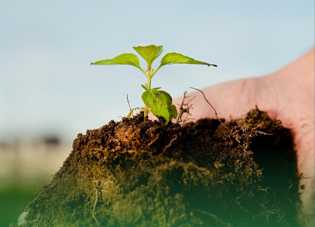 Vilafranca ofereix reduccions a la taxa d’escombraries per l’ús de la deixalleria i l’autocompostatge casolà. Ajuntament de Vilafranca