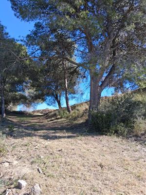 Vilafranca recupera un tram desaparegut del camí del Sant Sepulcre. Ajuntament de Vilafranca