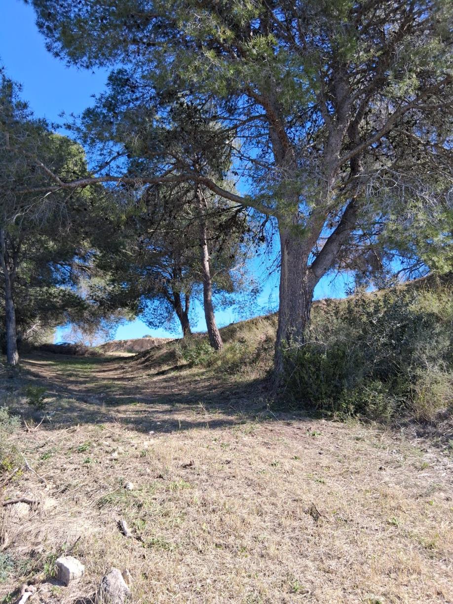 Vilafranca recupera un tram desaparegut del camí del Sant Sepulcre. Ajuntament de Vilafranca