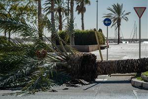 Vilanova i la Geltrú registra ratxes de fins a 108 km/h, les més altes des de 2009