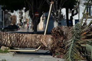Vilanova i la Geltrú registra ratxes de fins a 108 km/h, les més altes des de 2009