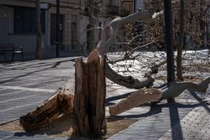 Vilanova i la Geltrú registra ratxes de fins a 108 km/h, les més altes des de 2009