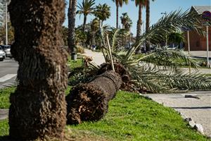 Vilanova i la Geltrú registra ratxes de fins a 108 km/h, les més altes des de 2009