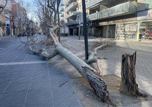 Vilanova i la Geltrú registra ratxes de fins a 108 km/h, les més altes des de 2009