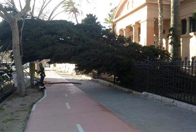 Vilanova i la Geltrú registra ratxes de fins a 108 km/h. fotos/ @tgamadeu_photo, Roger, Eix