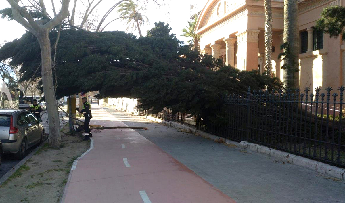 Vilanova i la Geltrú registra ratxes de fins a 108 km/h. fotos/ @tgamadeu_photo, Roger, Eix