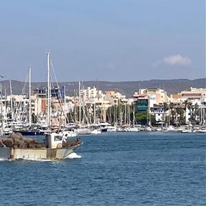 Vilanova impulsa una incubadora d’economia blava per potenciar l’emprenedoria vinculada al mar. Ajuntament de Vilanova