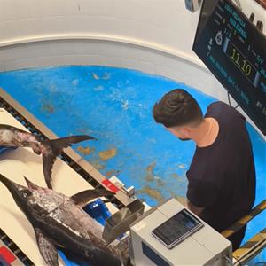 Vilanova impulsa una incubadora d’economia blava per potenciar l’emprenedoria vinculada al mar