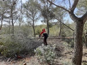 Vilanova reforça la prevenció davant el risc d'incendi forestal i apel·la a la responsabilitat ciutadana. Ajuntament de Vilanova