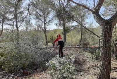 Vilanova reforça la prevenció davant el risc d'incendi forestal i apel·la a la responsabilitat ciutadana. Ajuntament de Vilanova