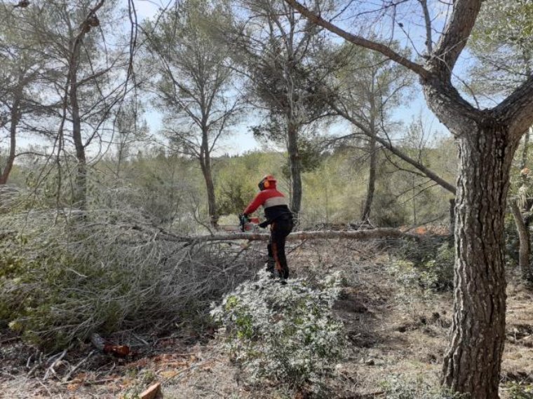 Vilanova reforça la prevenció davant el risc d'incendi forestal i apel·la a la responsabilitat ciutadana. Ajuntament de Vilanova