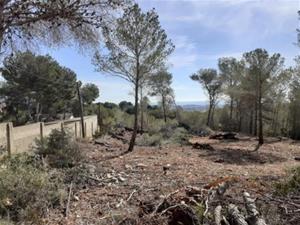 Vilanova reforça la prevenció davant el risc d'incendi forestal i apel·la a la responsabilitat ciutadana