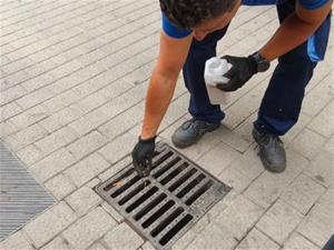 Vilanova reforça la prevenció del mosquit tigre amb l’inici de la campanya d’arbovirosis. Ajuntament de Vilanova