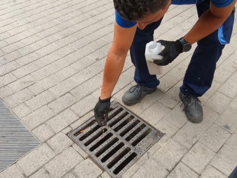 Vilanova reforça la prevenció del mosquit tigre amb l’inici de la campanya d’arbovirosis. Ajuntament de Vilanova