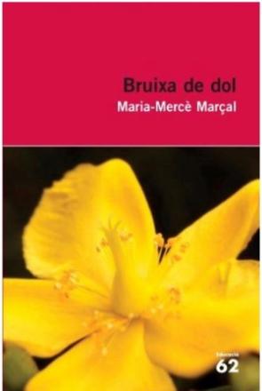 Portada del llibre Bruixa de dol