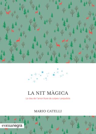 Portada del llibre La nit màgica