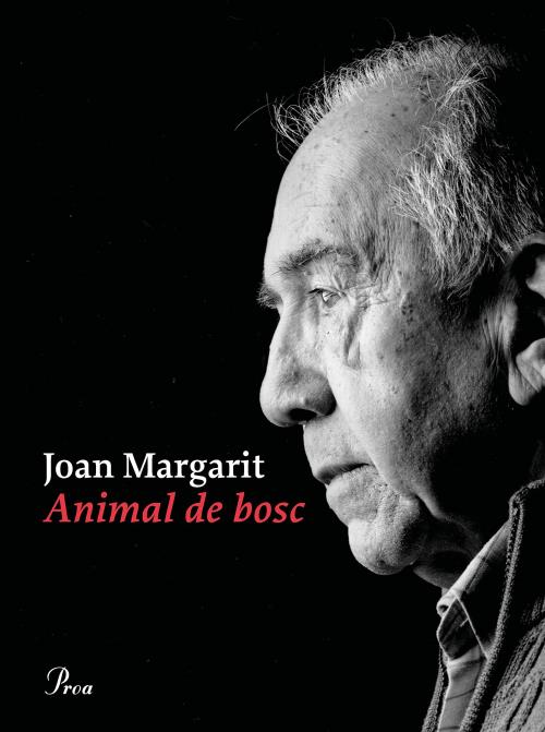 Portada del llibre Animal de bosc (OSSA MENOR)