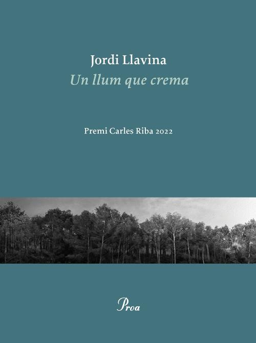 Portada del llibre Un llum que crema